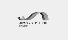 תמונה17