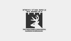תמונה31